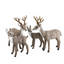 Set of 4 Medium Reindeer