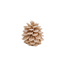 Pair of Pine Cone Candles