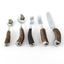 English Staghorn 5 piece place setting